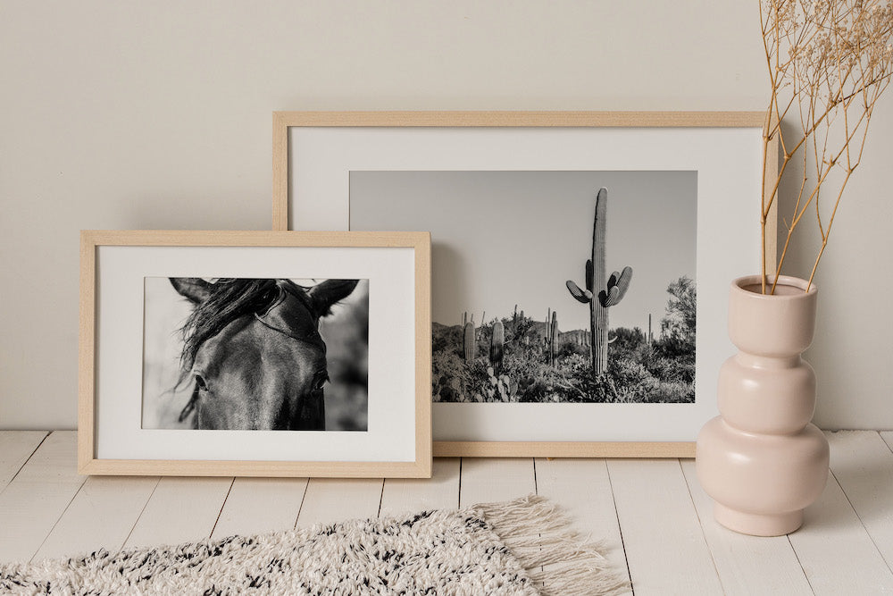 Saguaro Landscape
