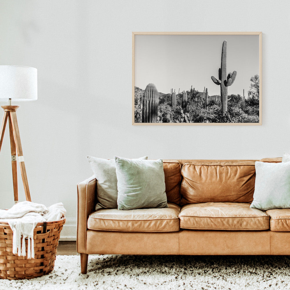 Saguaro Landscape