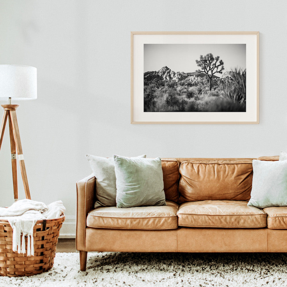 Joshua Tree Landscape
