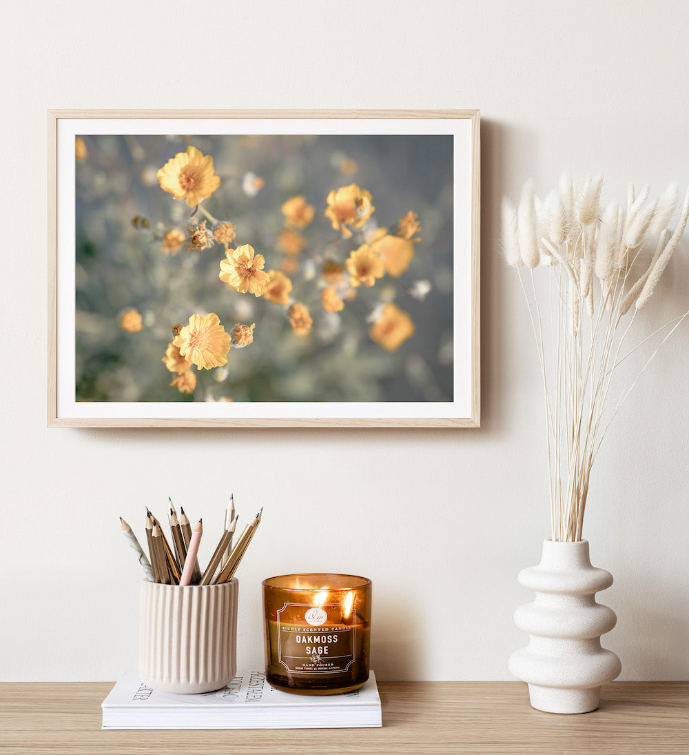 Desert Flowers