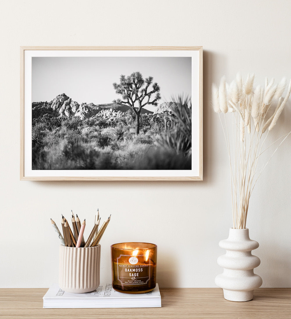 Joshua Tree Landscape