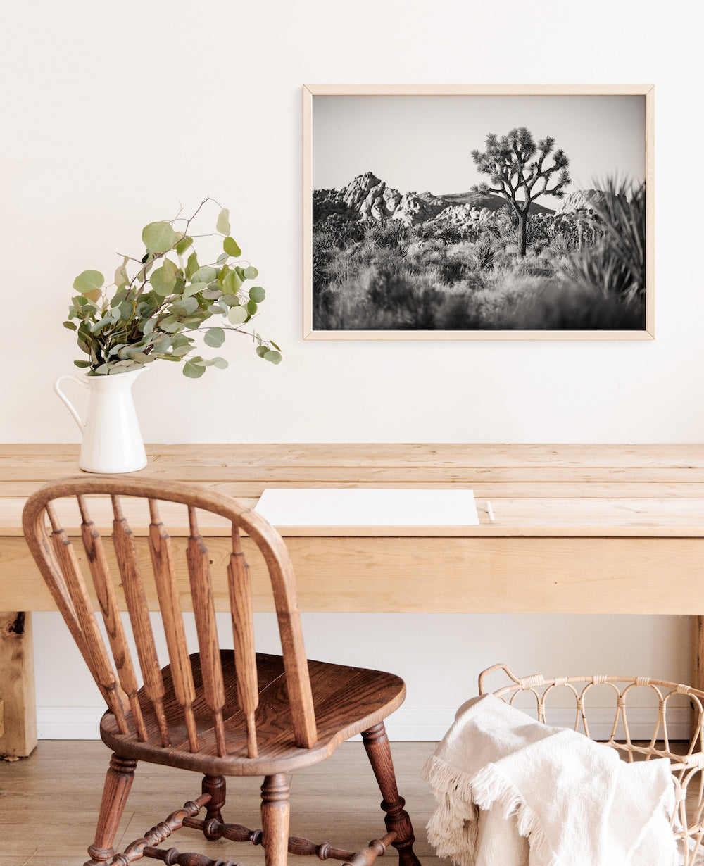 Joshua Tree Landscape