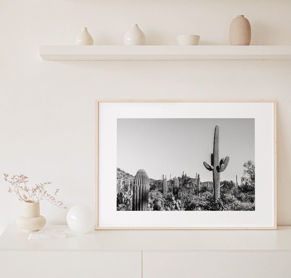 Saguaro Landscape