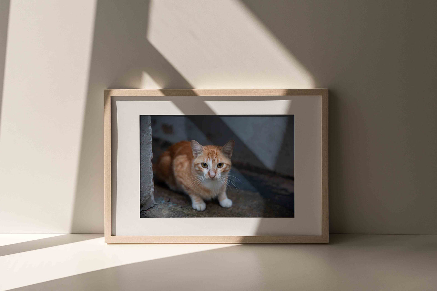 River Cat