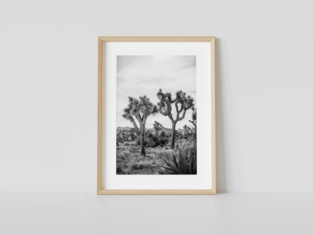 Joshua Tree Duo