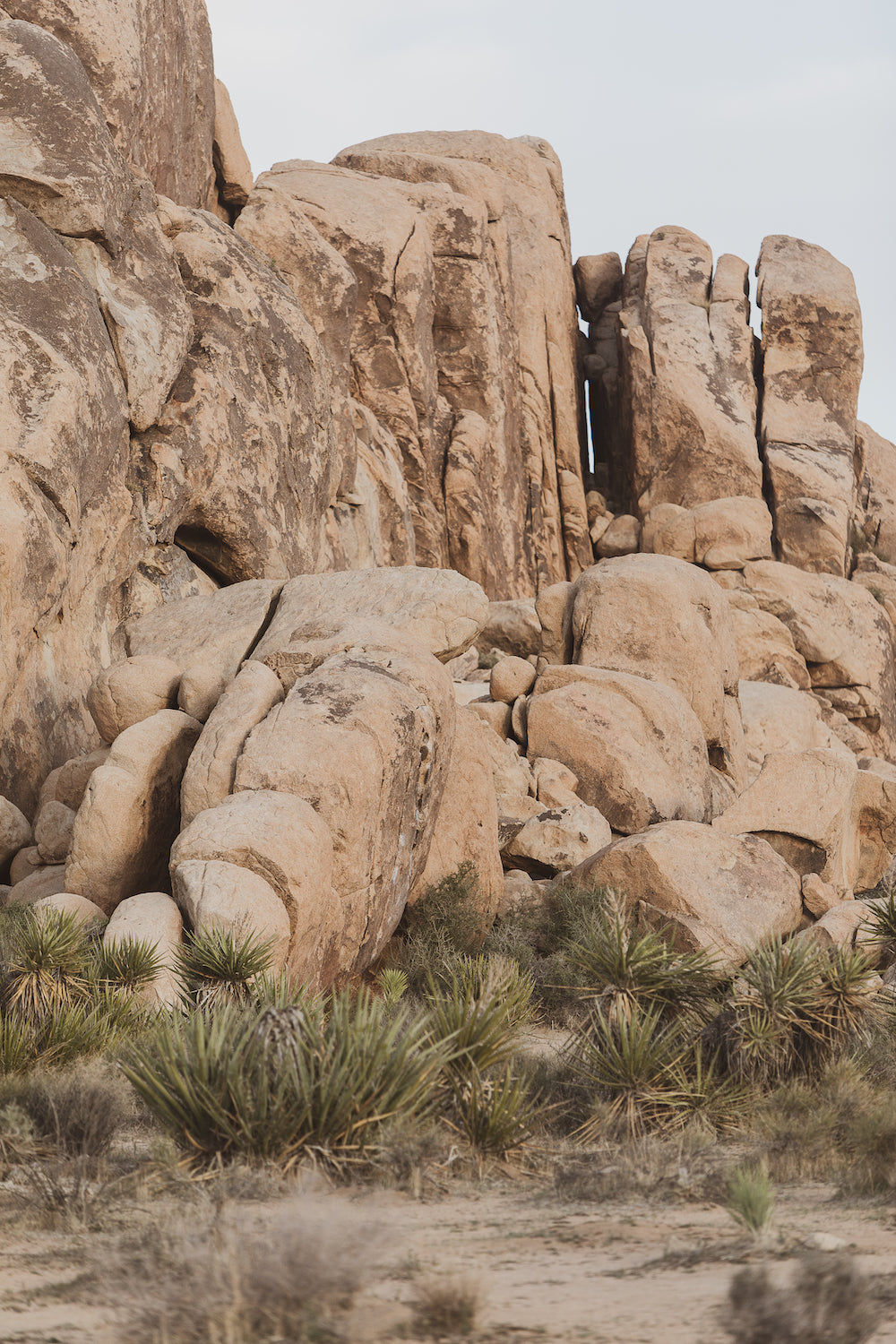Joshua Tree Rock Outcropping