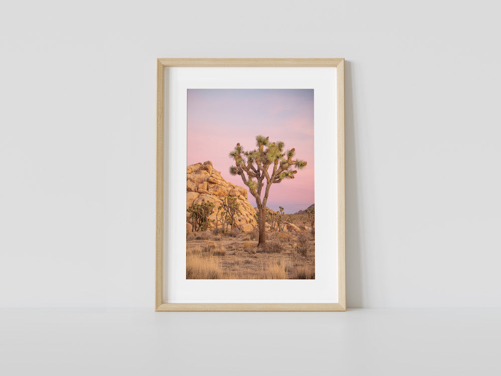 Pink Sunset