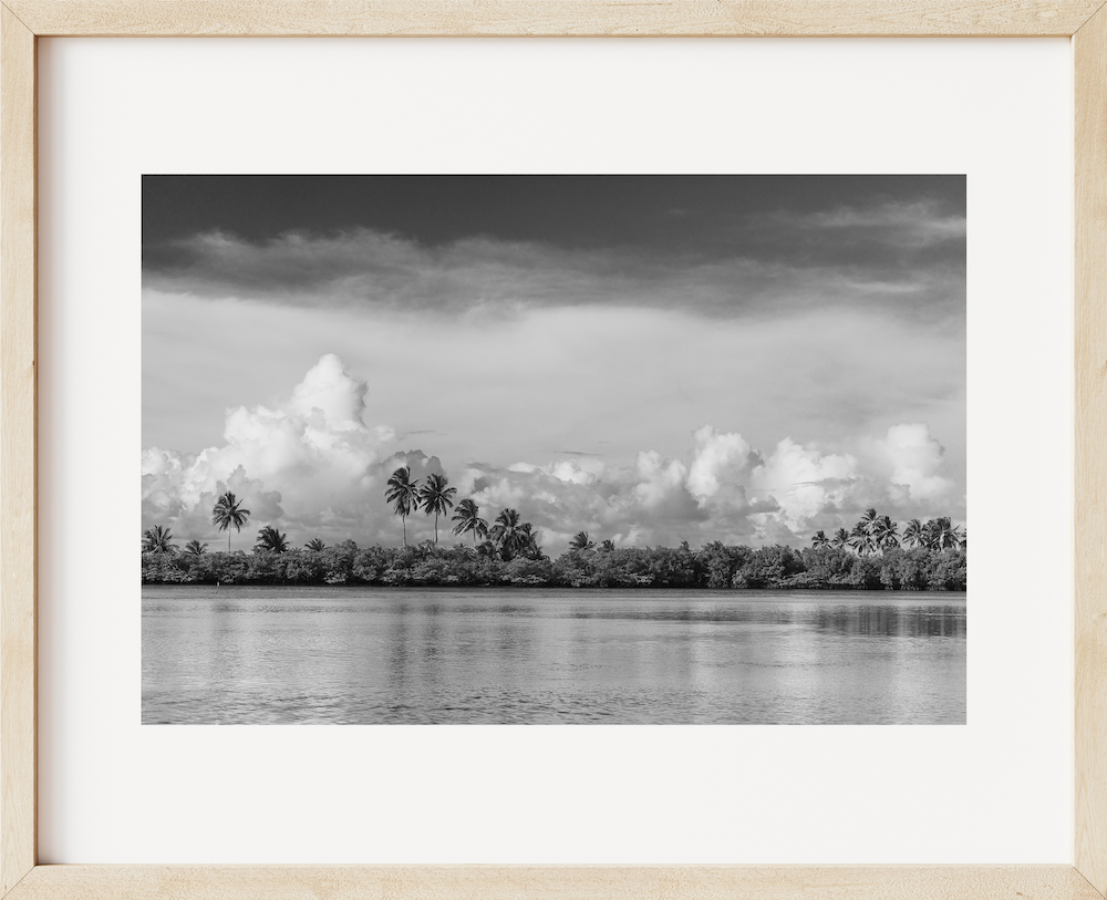 Selva B&W