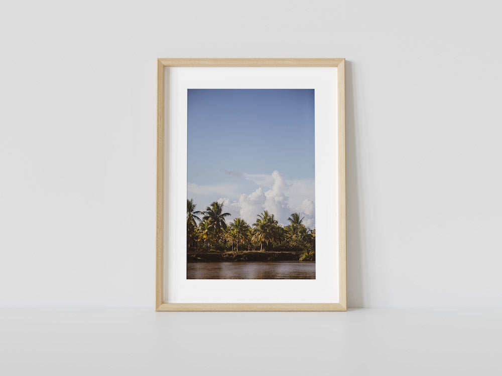 Selva Bahia