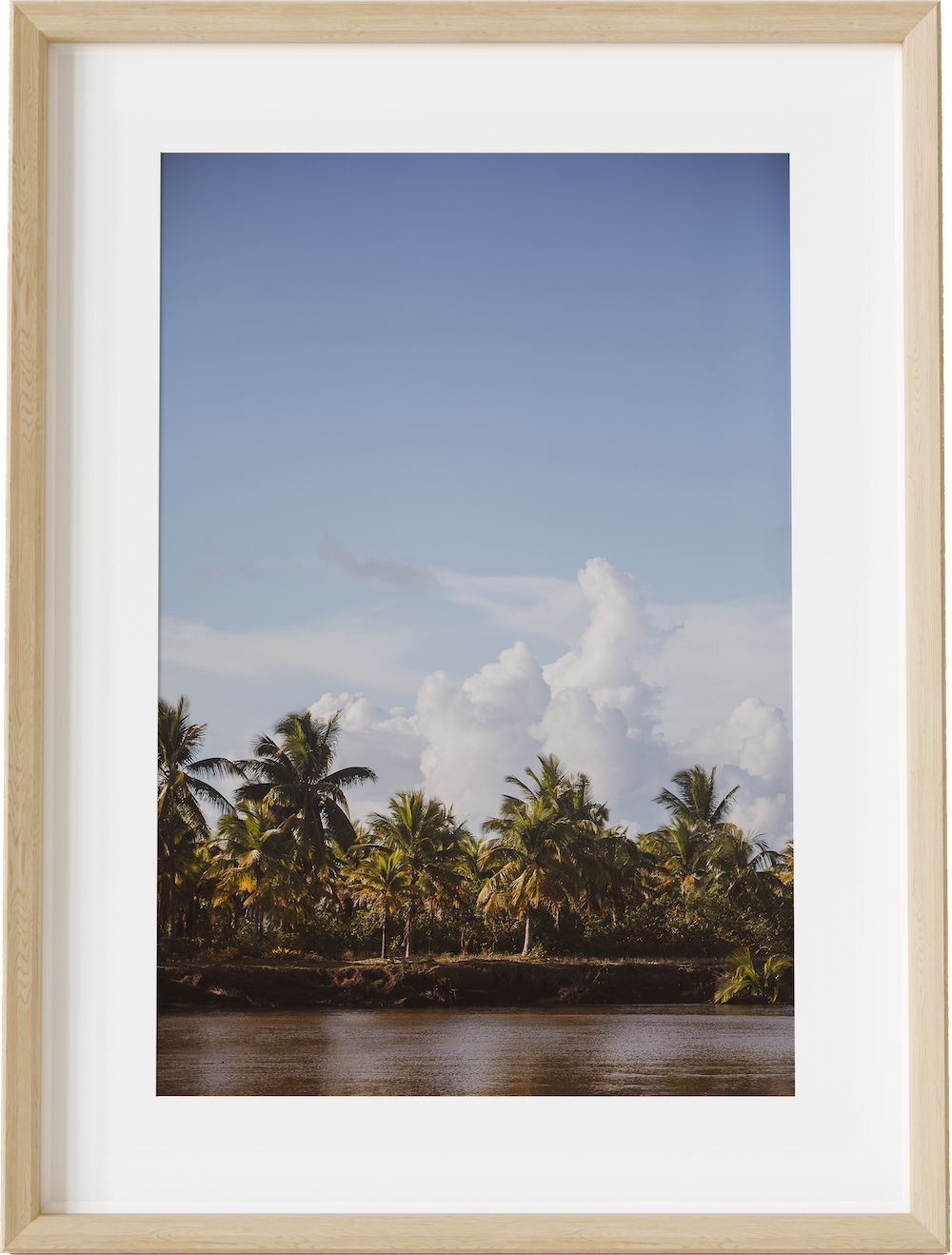 Selva Bahia