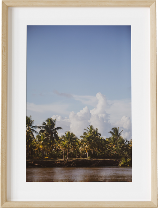 Selva Bahia