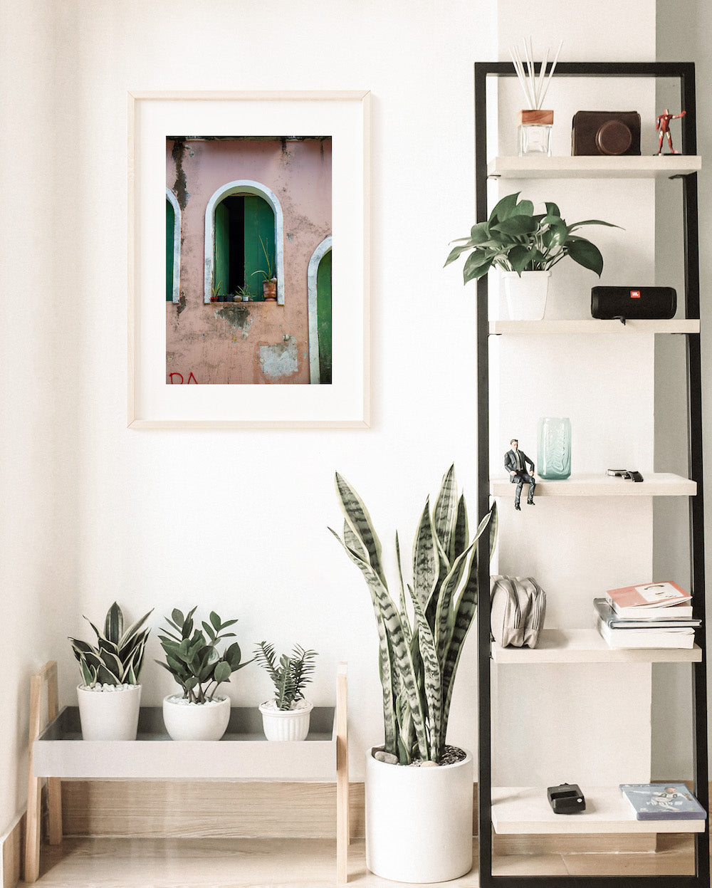 Salvador Green Shutters