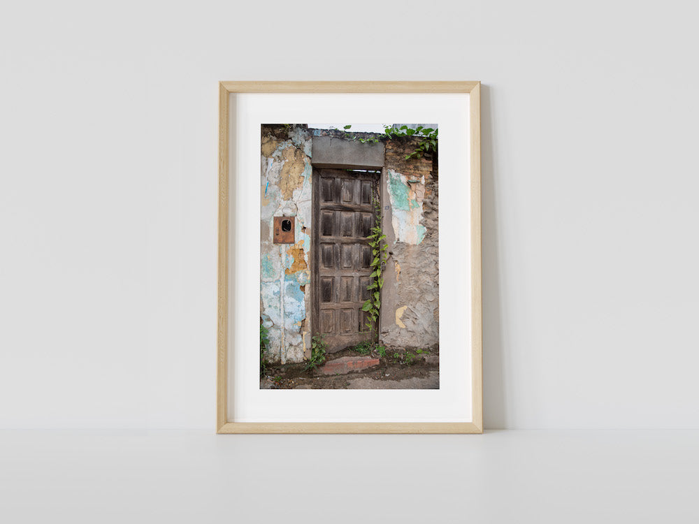 The Secret Door