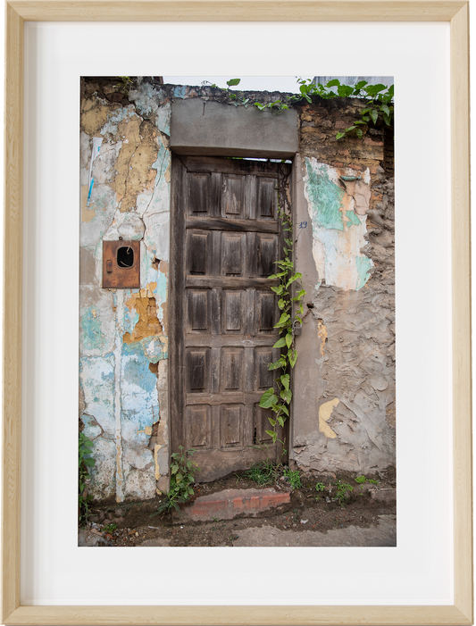 The Secret Door