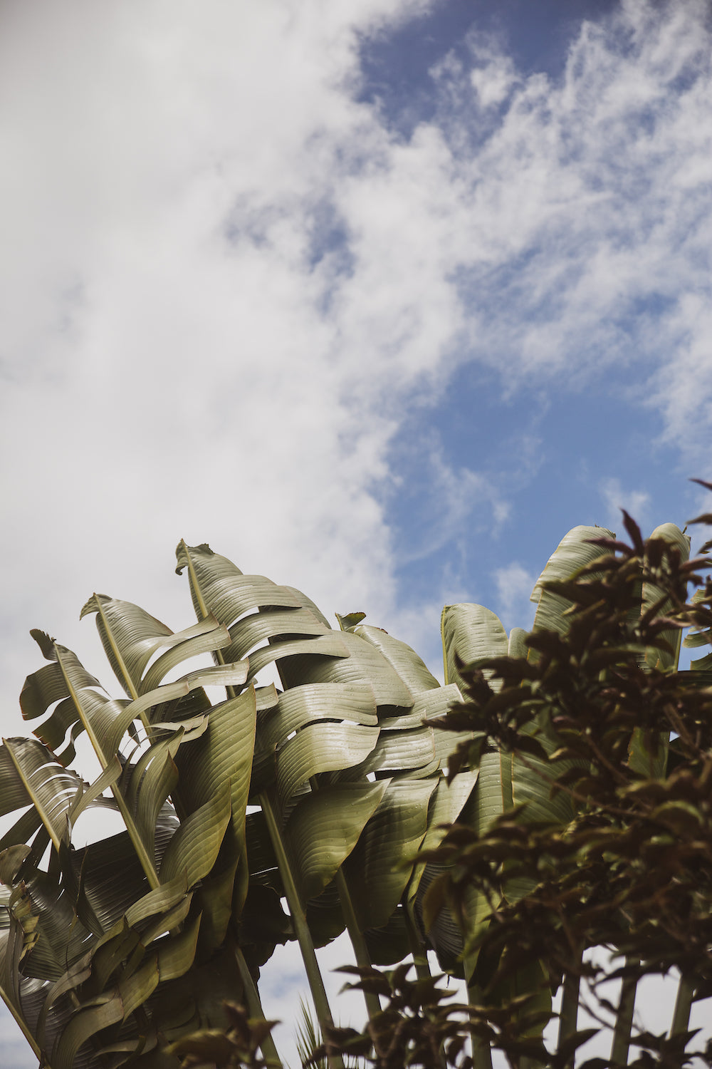 To the Sky