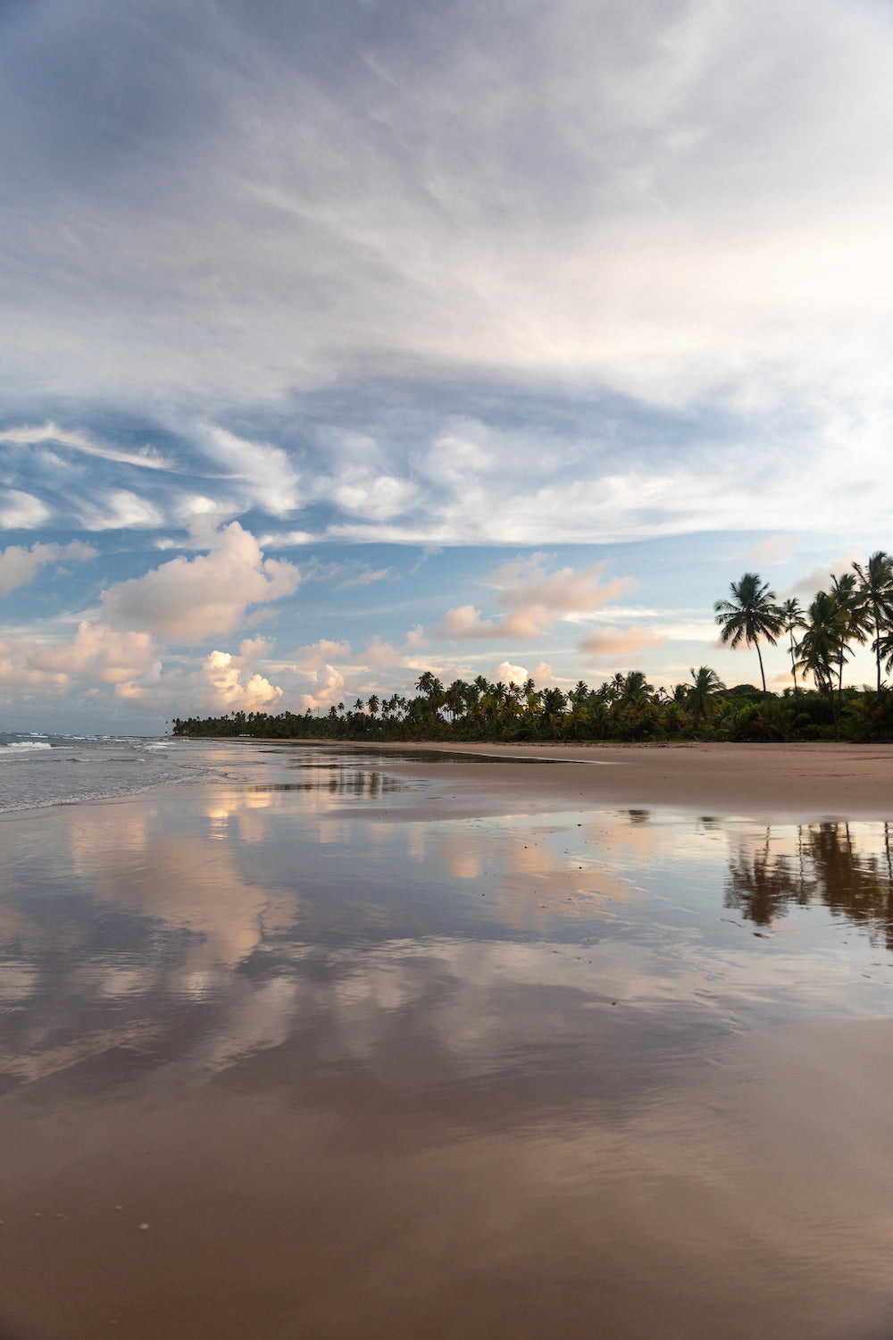 Tropical Paradise