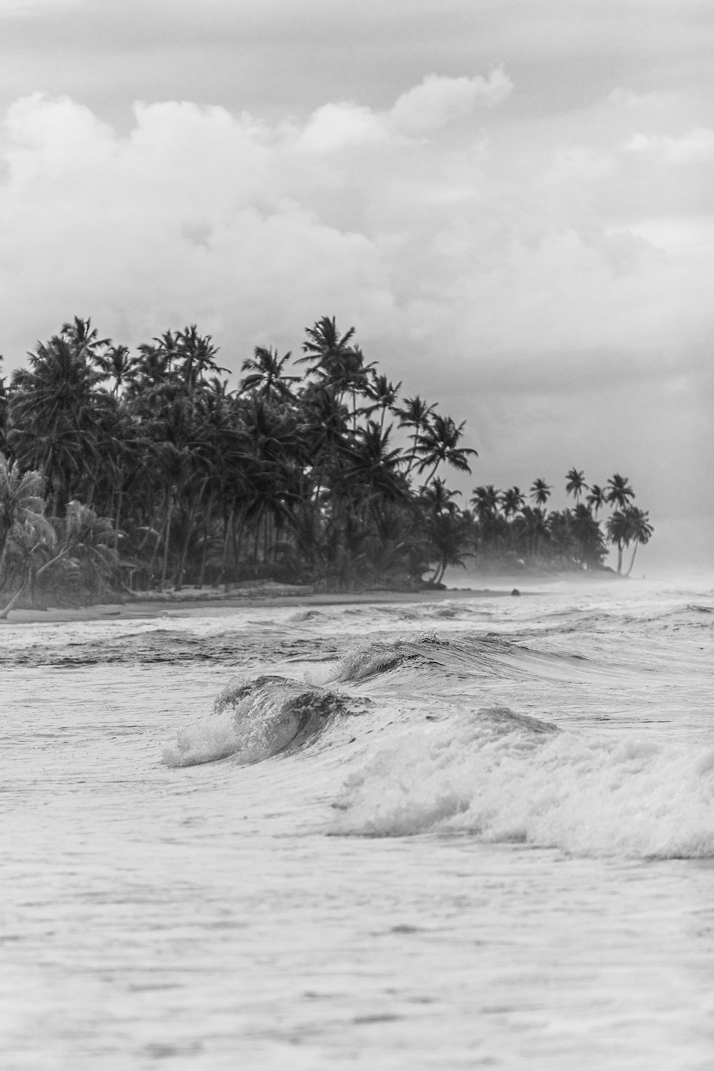 Selva Coastline B&W