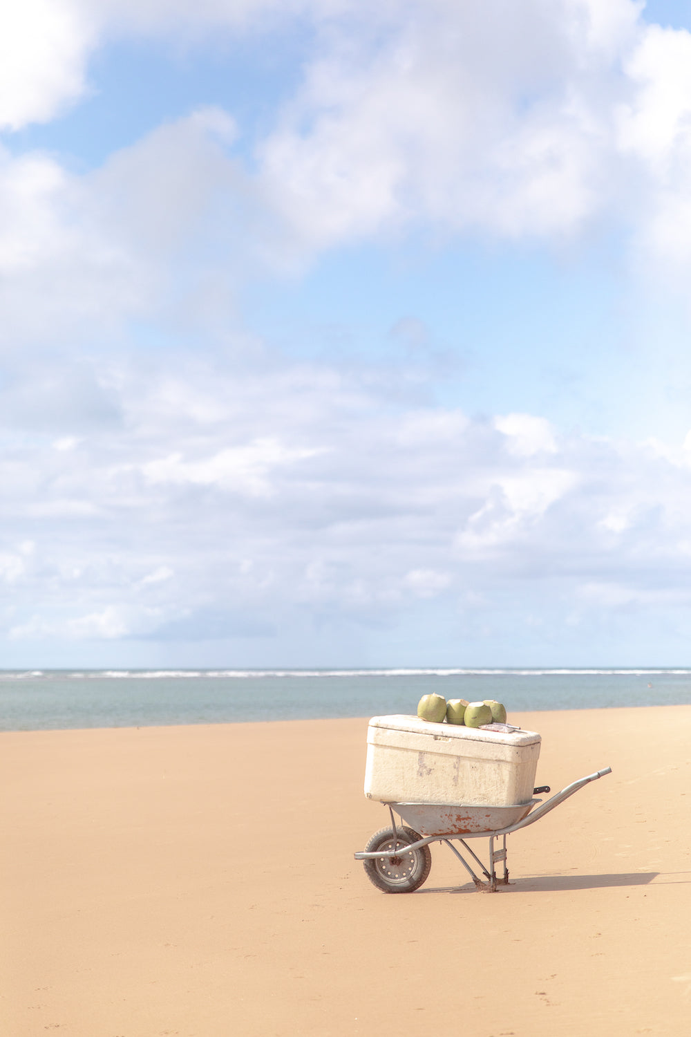 Agua De Coco
