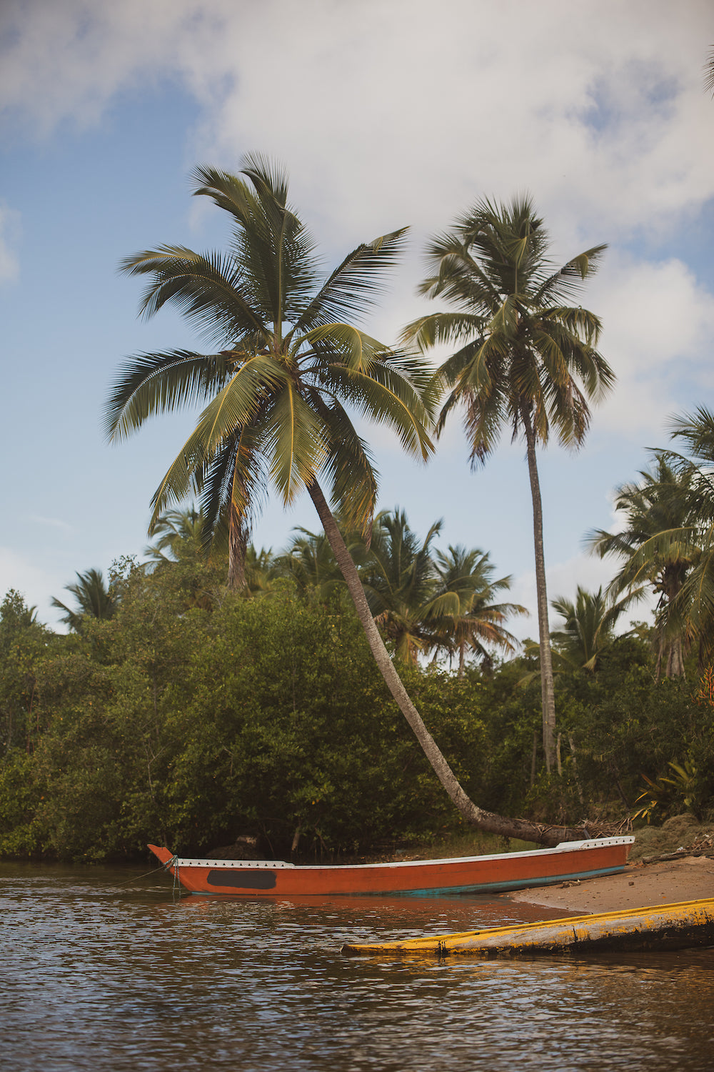 Gone Fishing Bahia