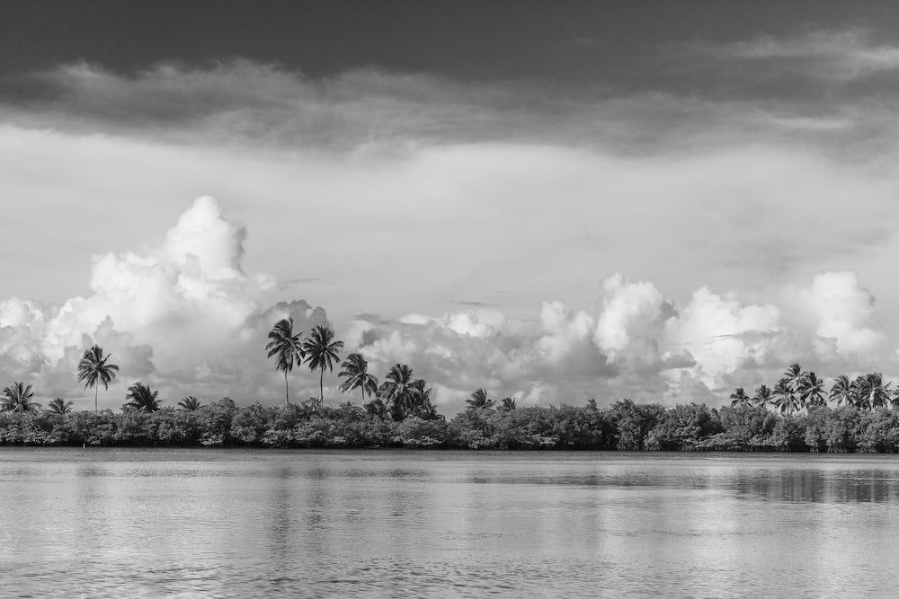 Selva B&W