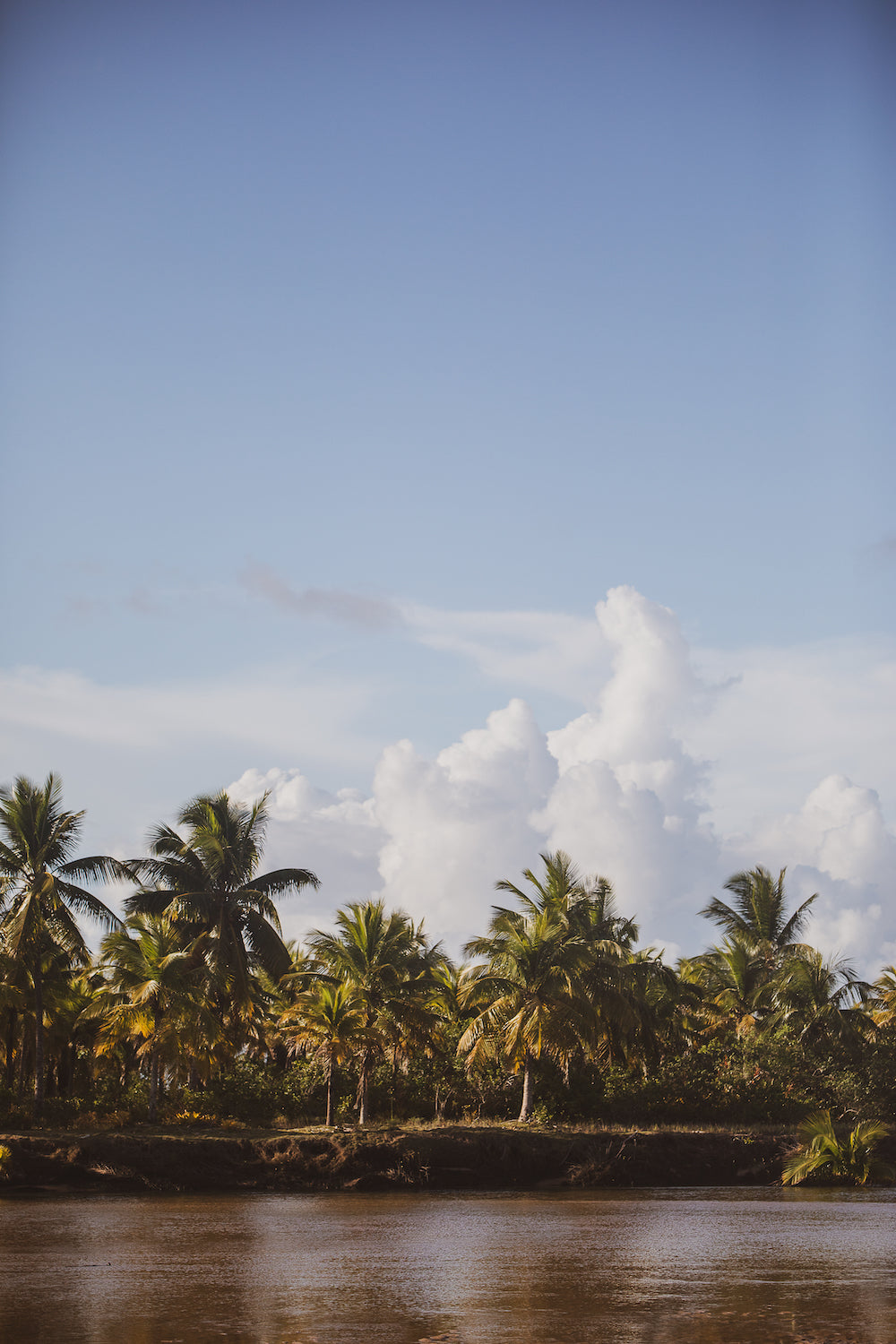 Selva Bahia