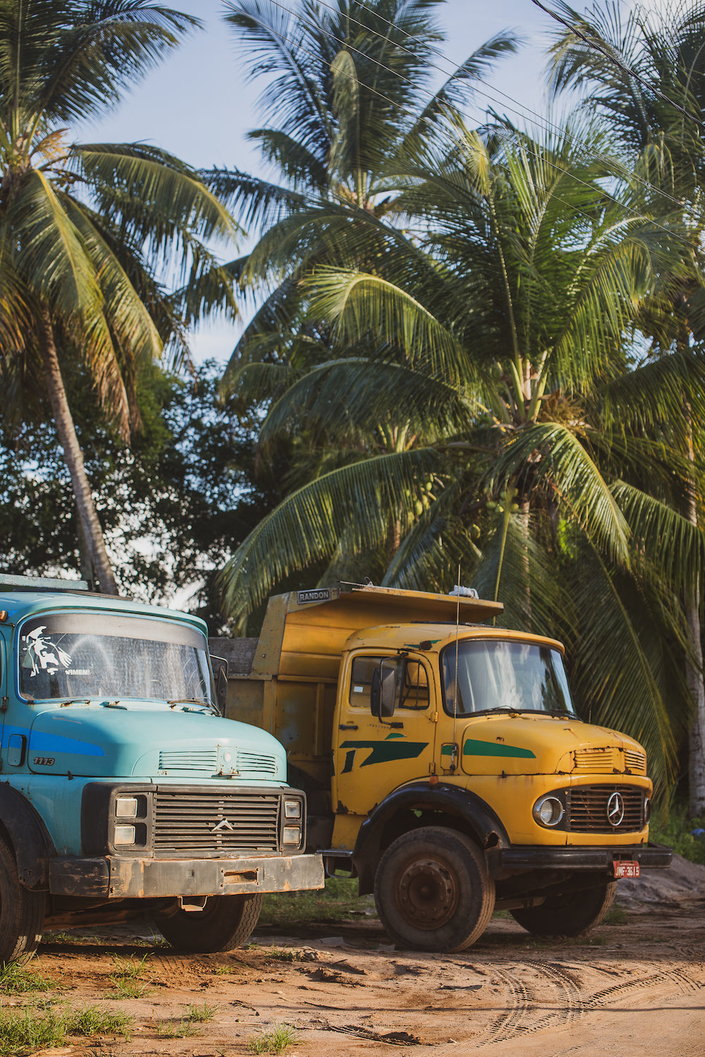 Work Trucks in Bahia