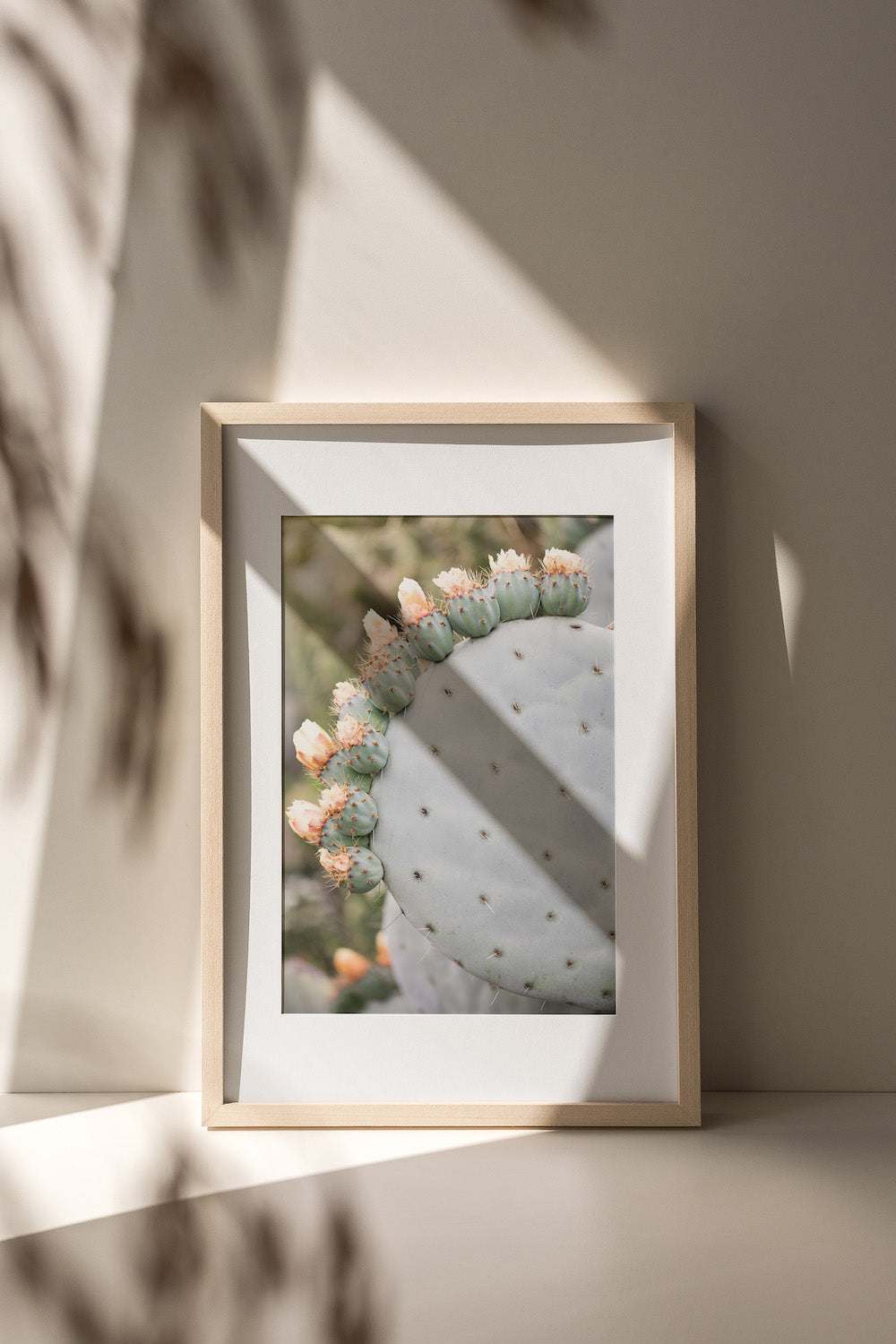 Cactus Crown Single
