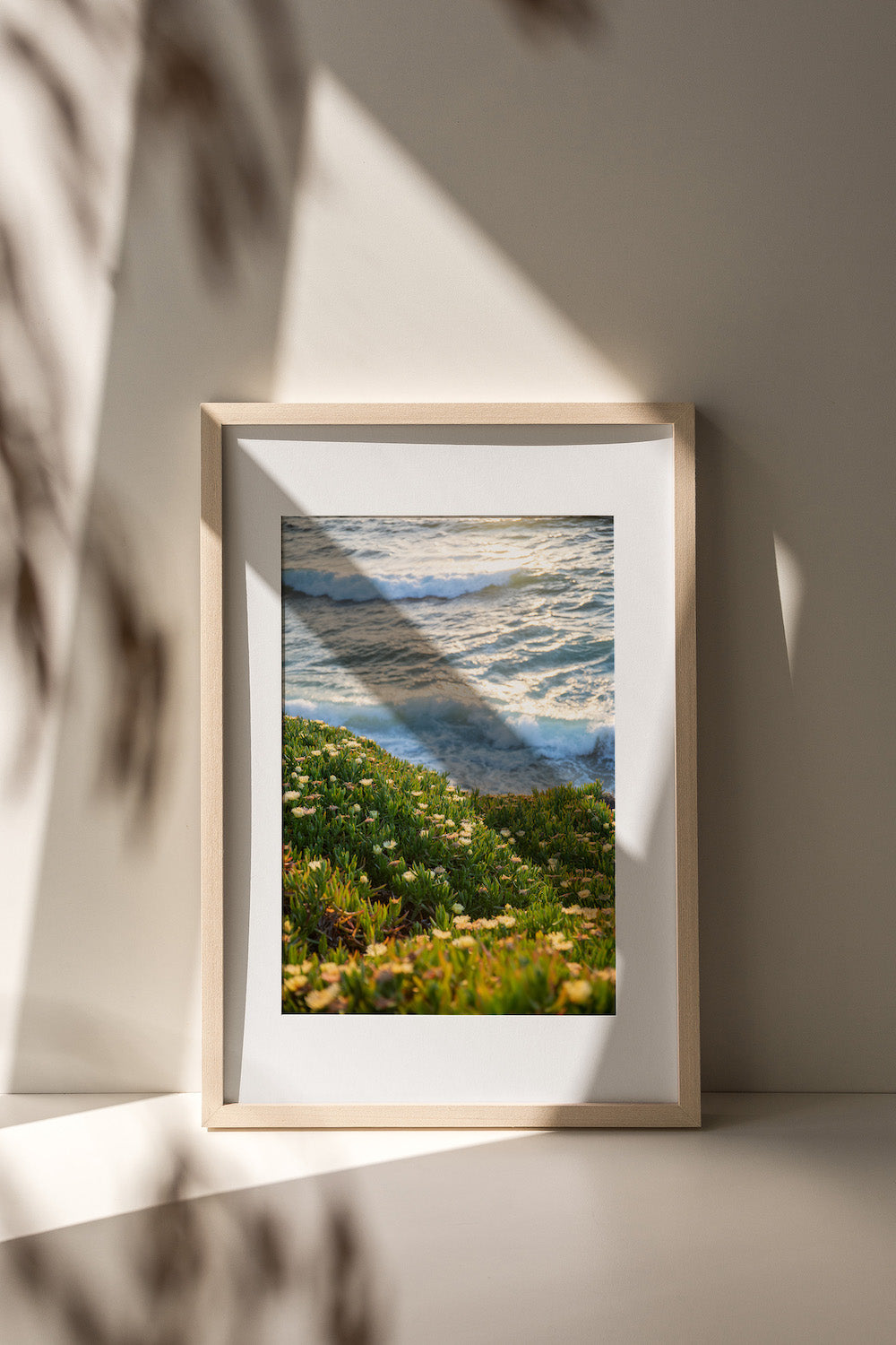 Waves and Ice Plant