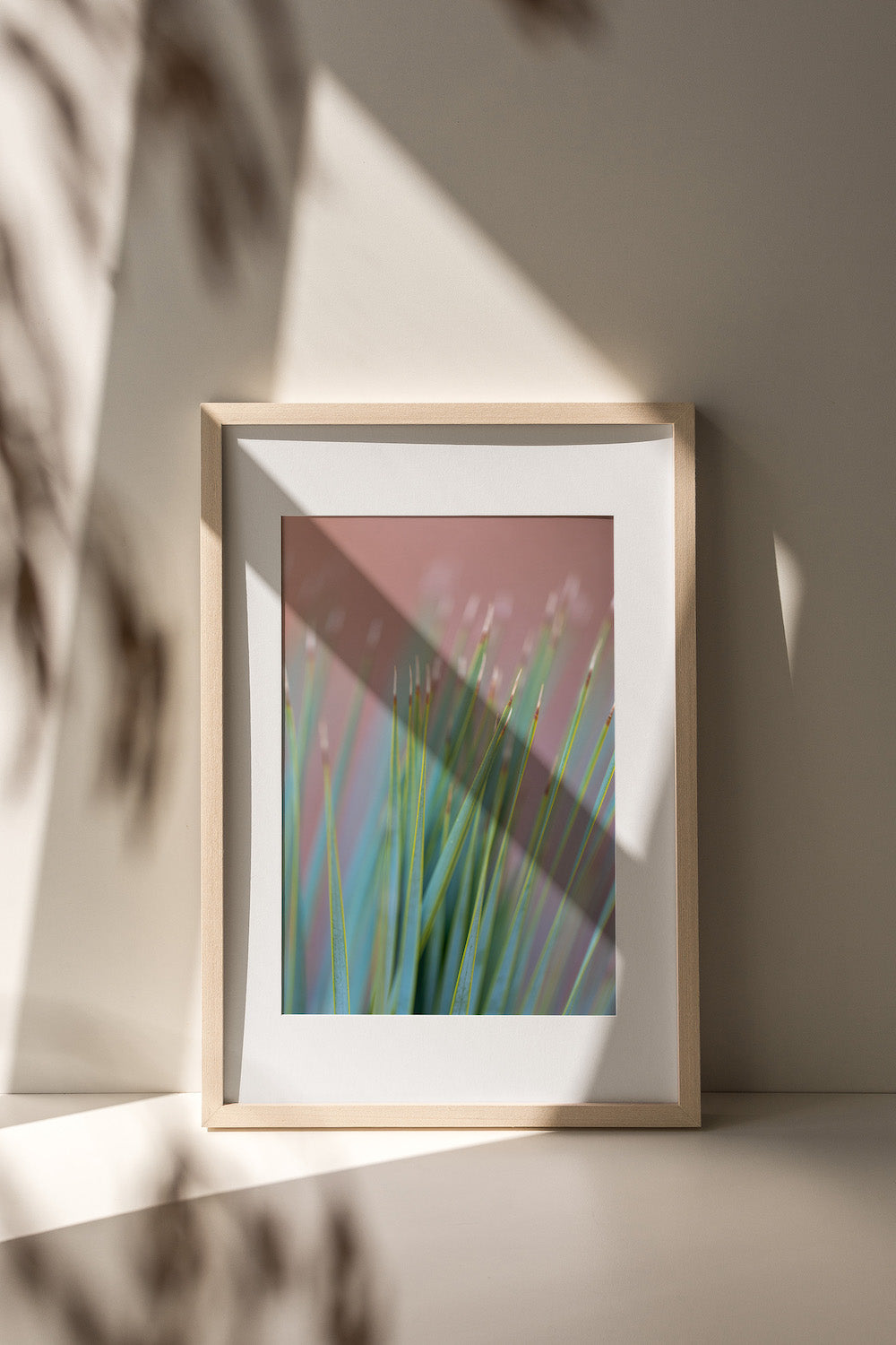 Pink Palm Abstract