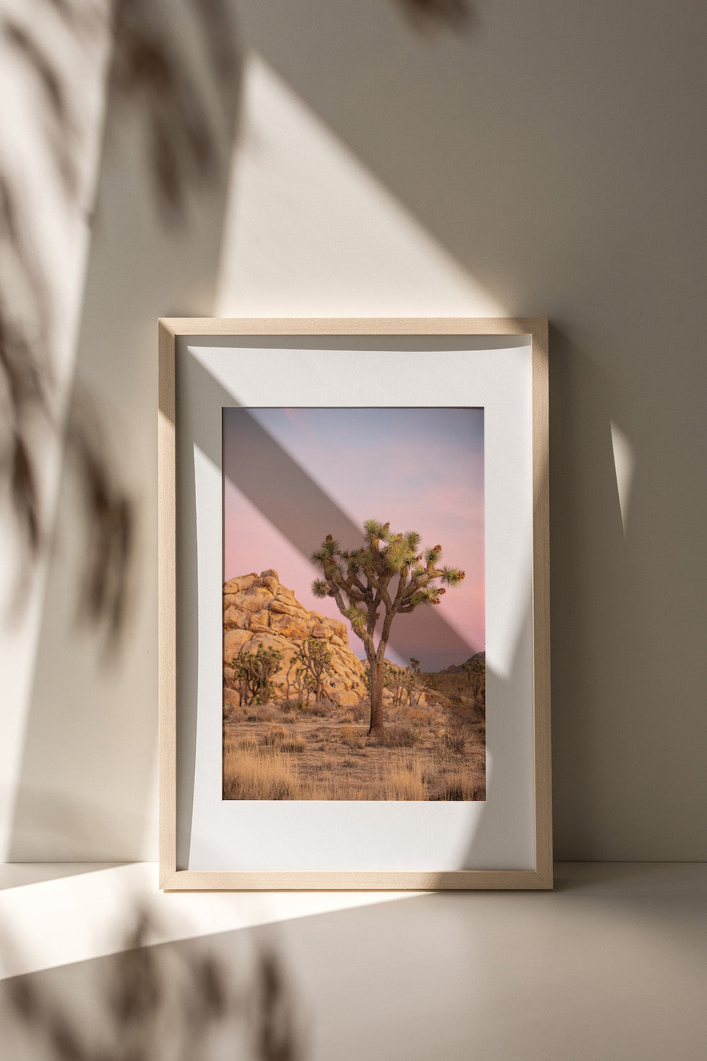 Pink Sunset