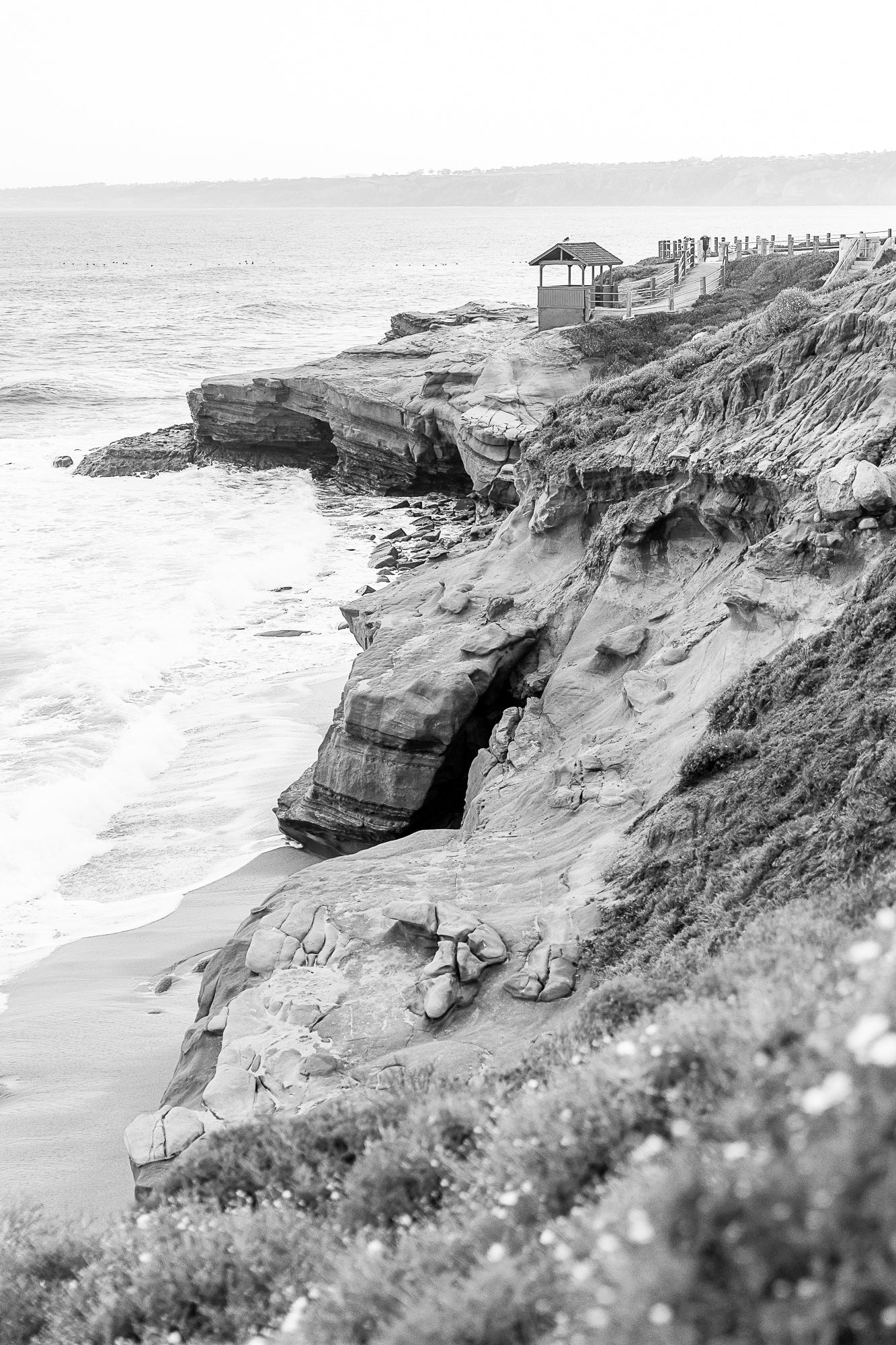 Shell Beach, La Jolla