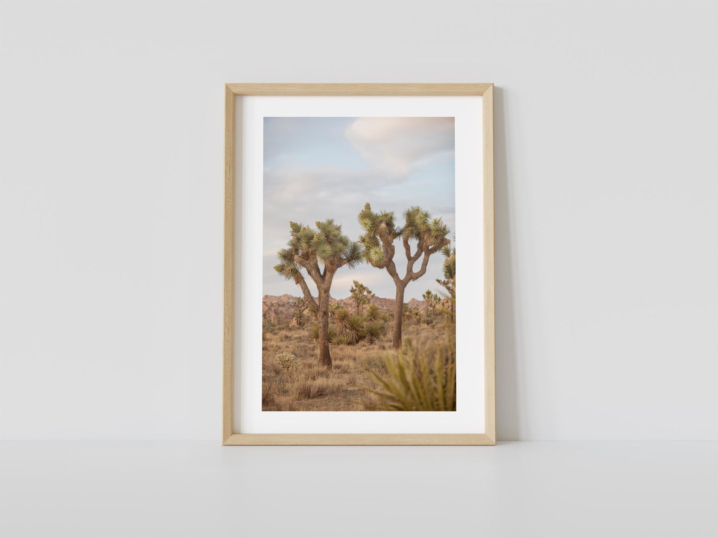 Joshua Tree Duo Color
