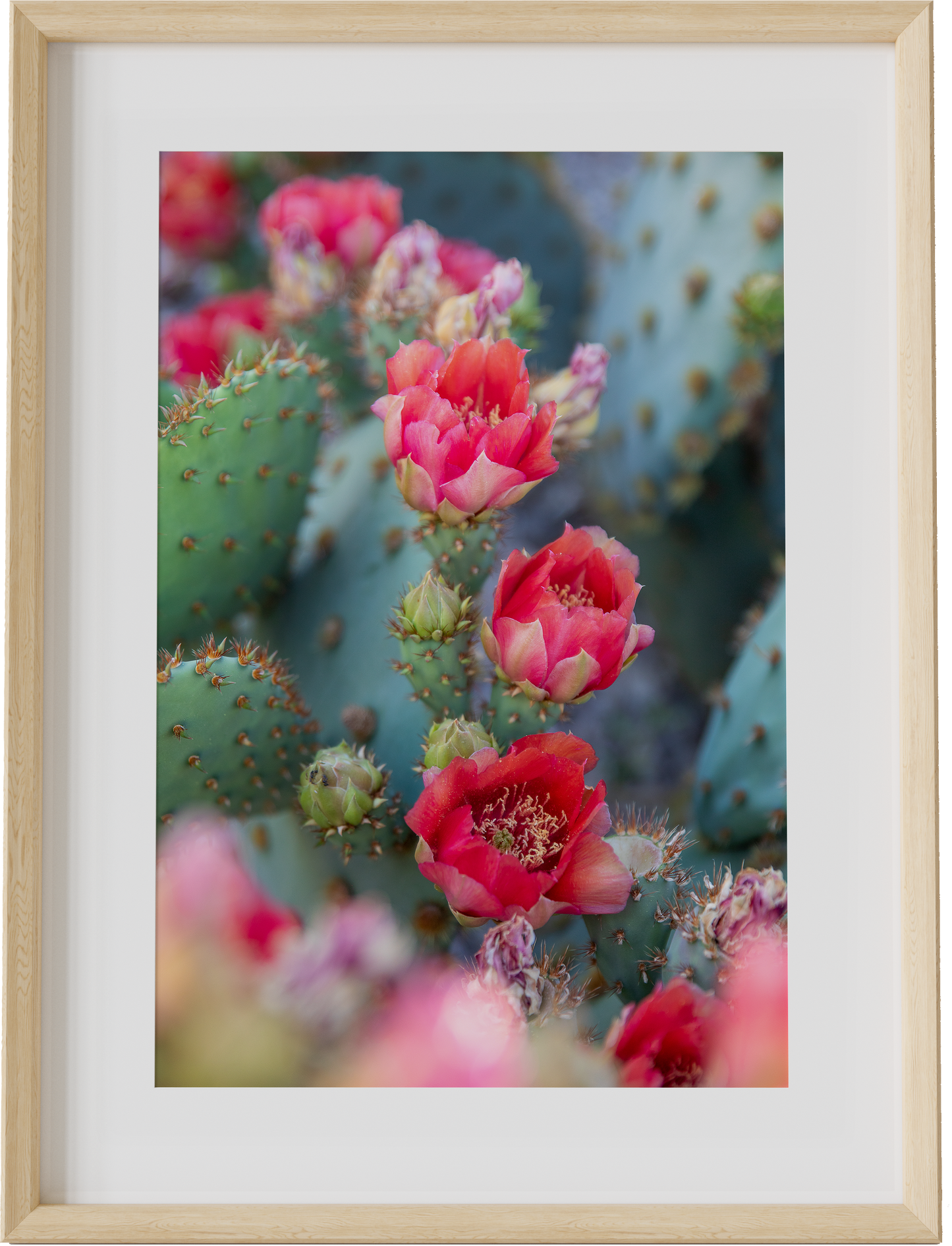 Bright Blooms