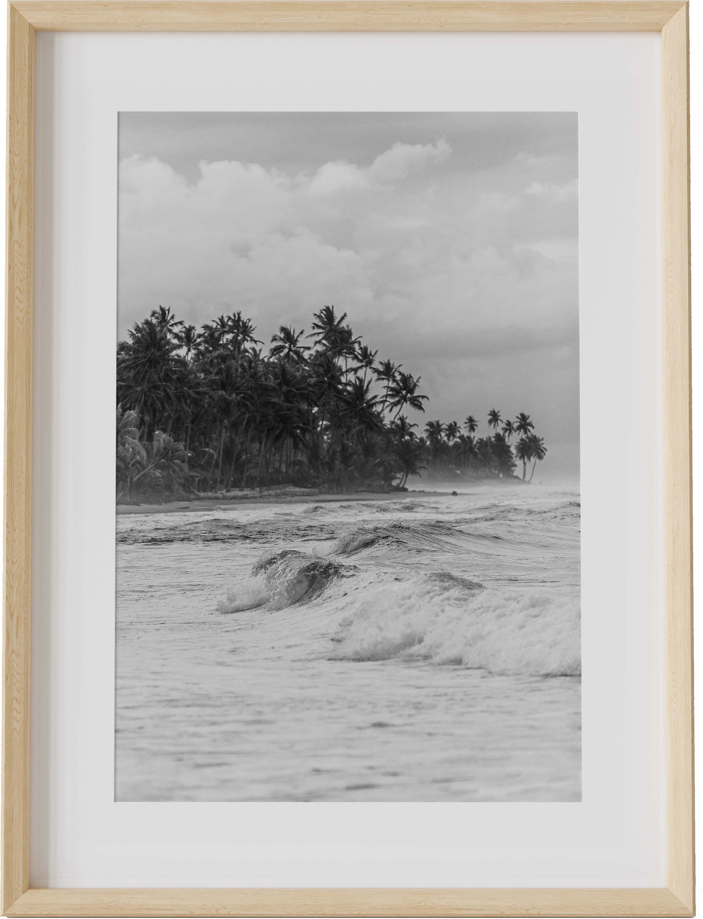 Selva Coastline B&W