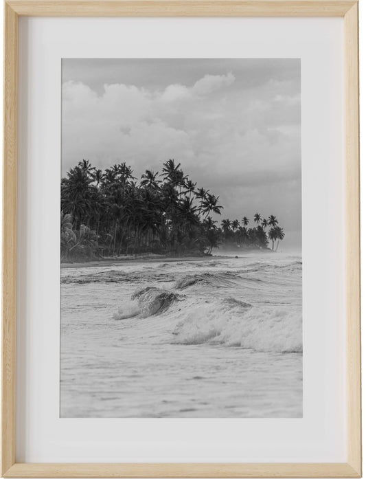 Selva Coastline B&W