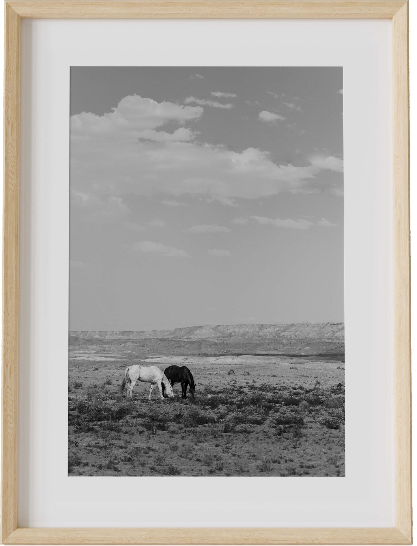 Wild, Wild Horses