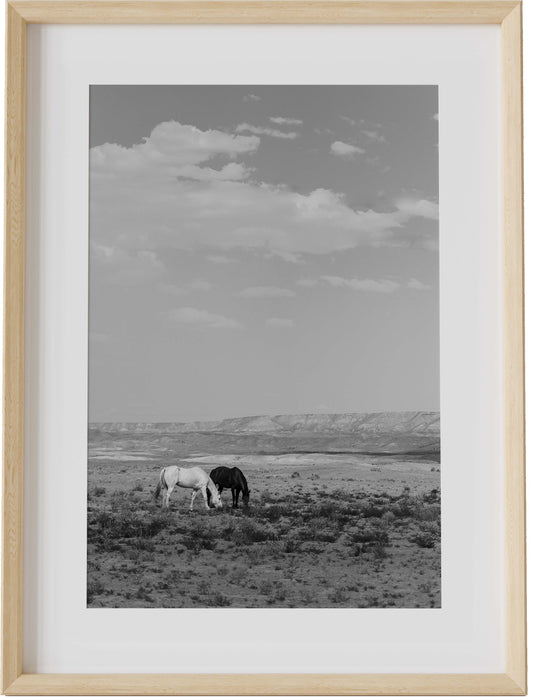 Wild, Wild Horses