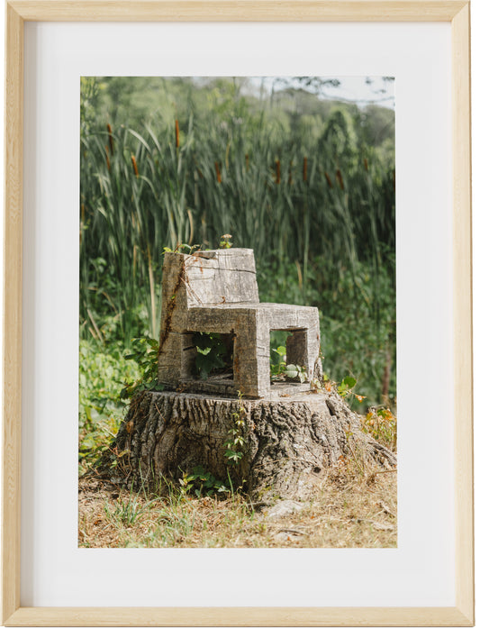 Forest Fairy Chair
