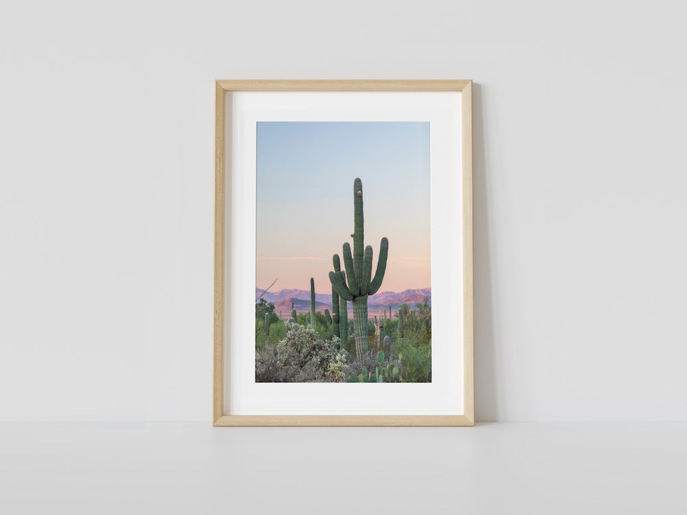 Southwest Saguaro