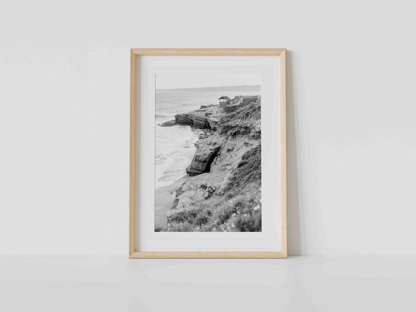 Shell Beach, La Jolla