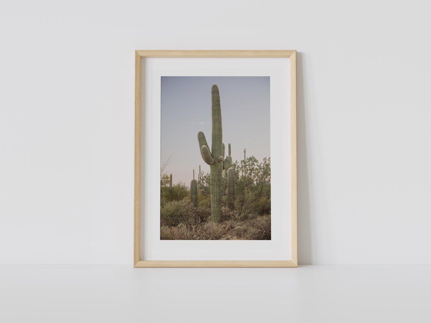 Warm Saguaro Sunrise