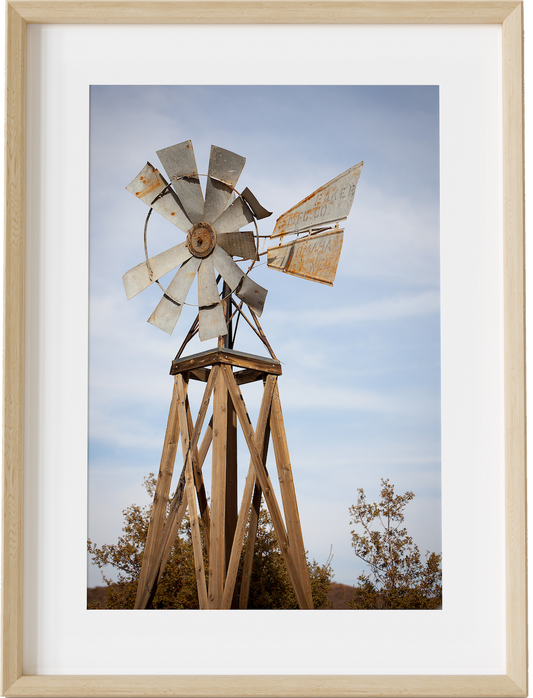 The Windmill