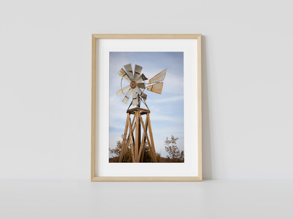 The Windmill