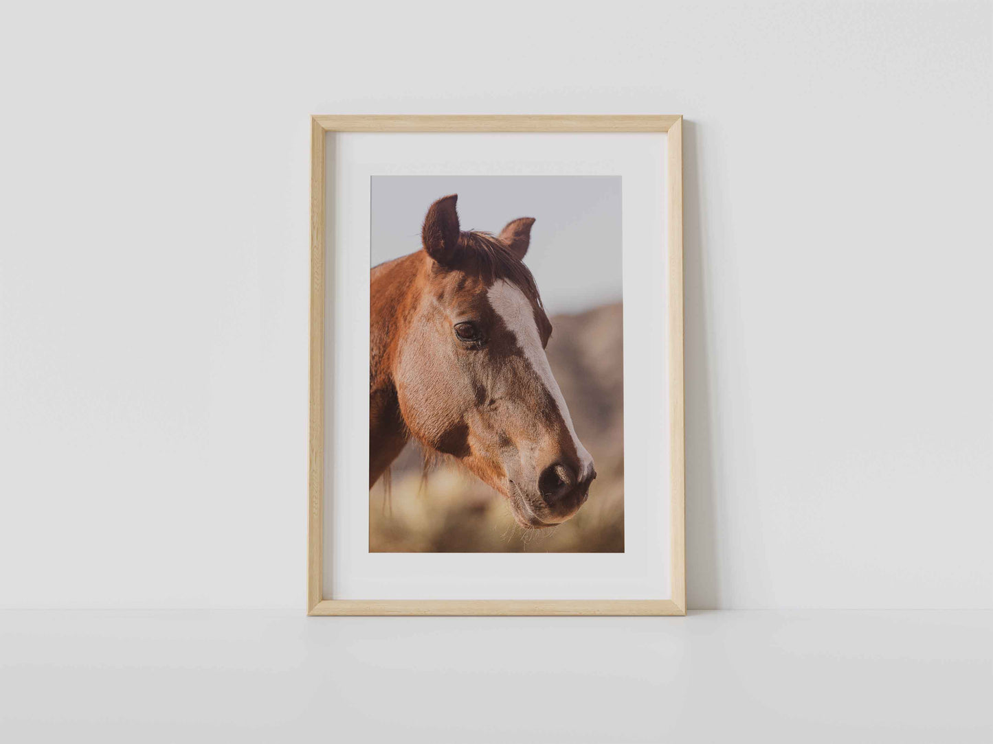 Sweet Horse