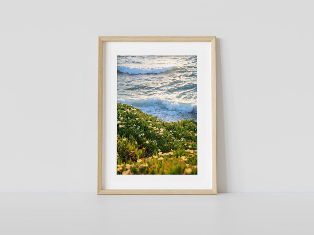 Waves and Ice Plant