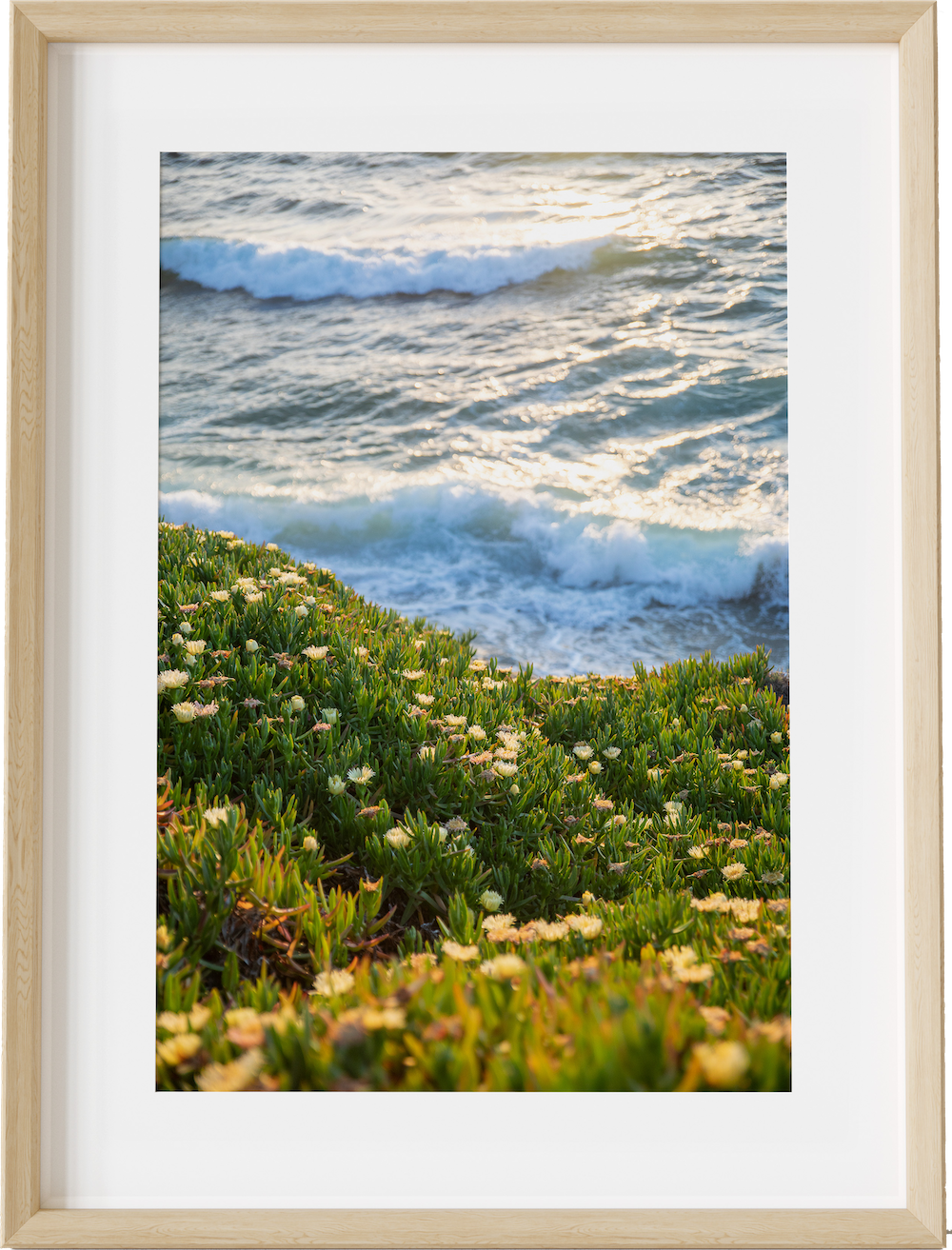Waves and Ice Plant