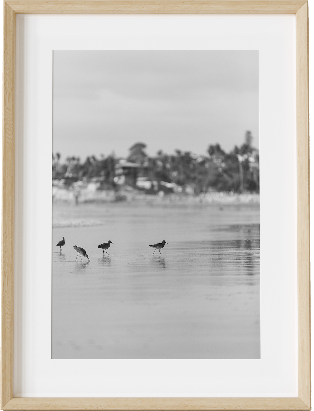 The Willets B&W