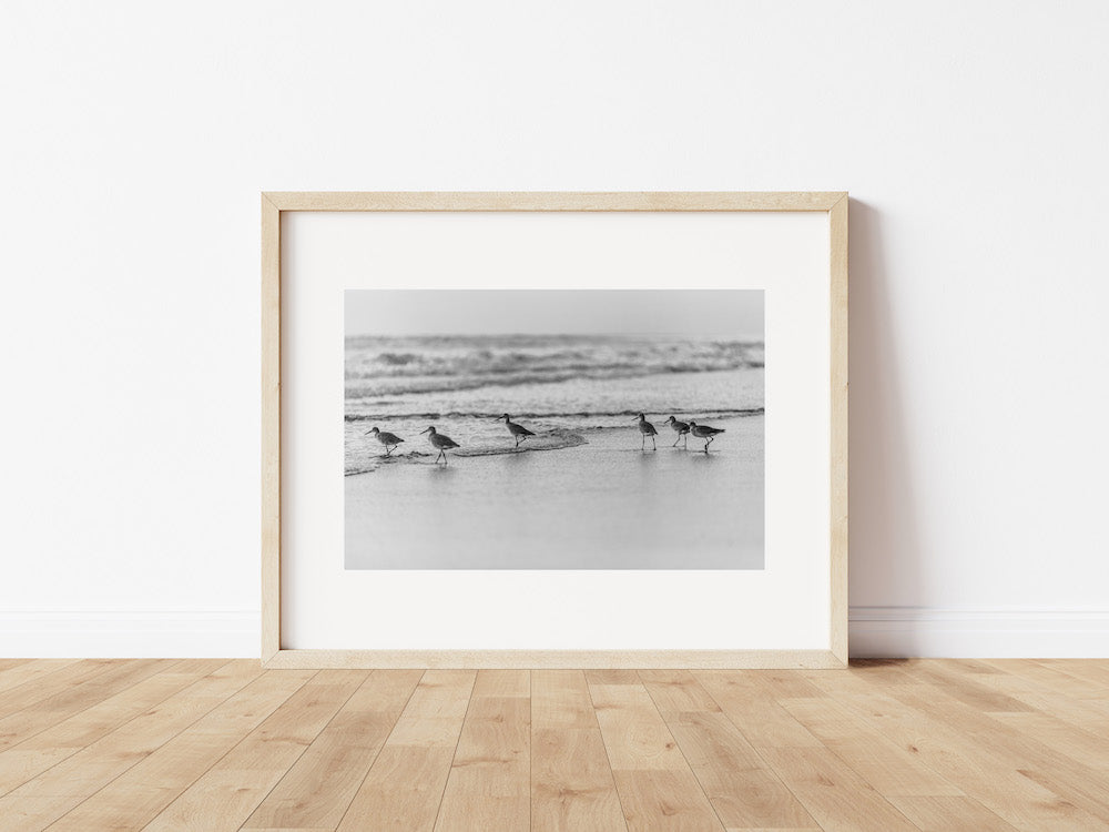 Willets B&W Horizontal