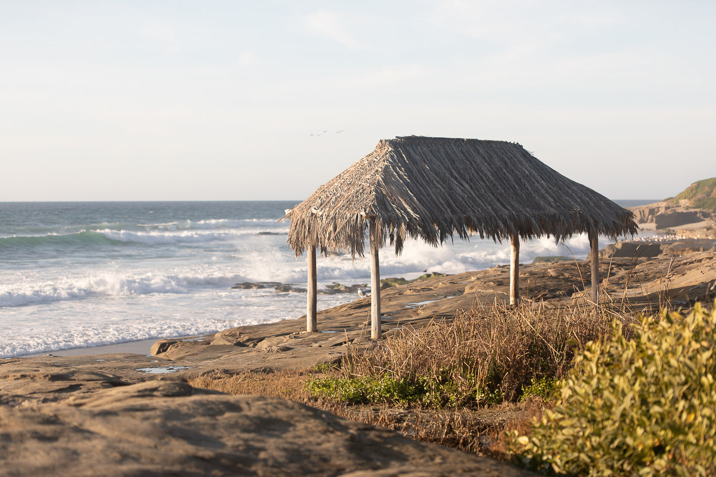 Windansea