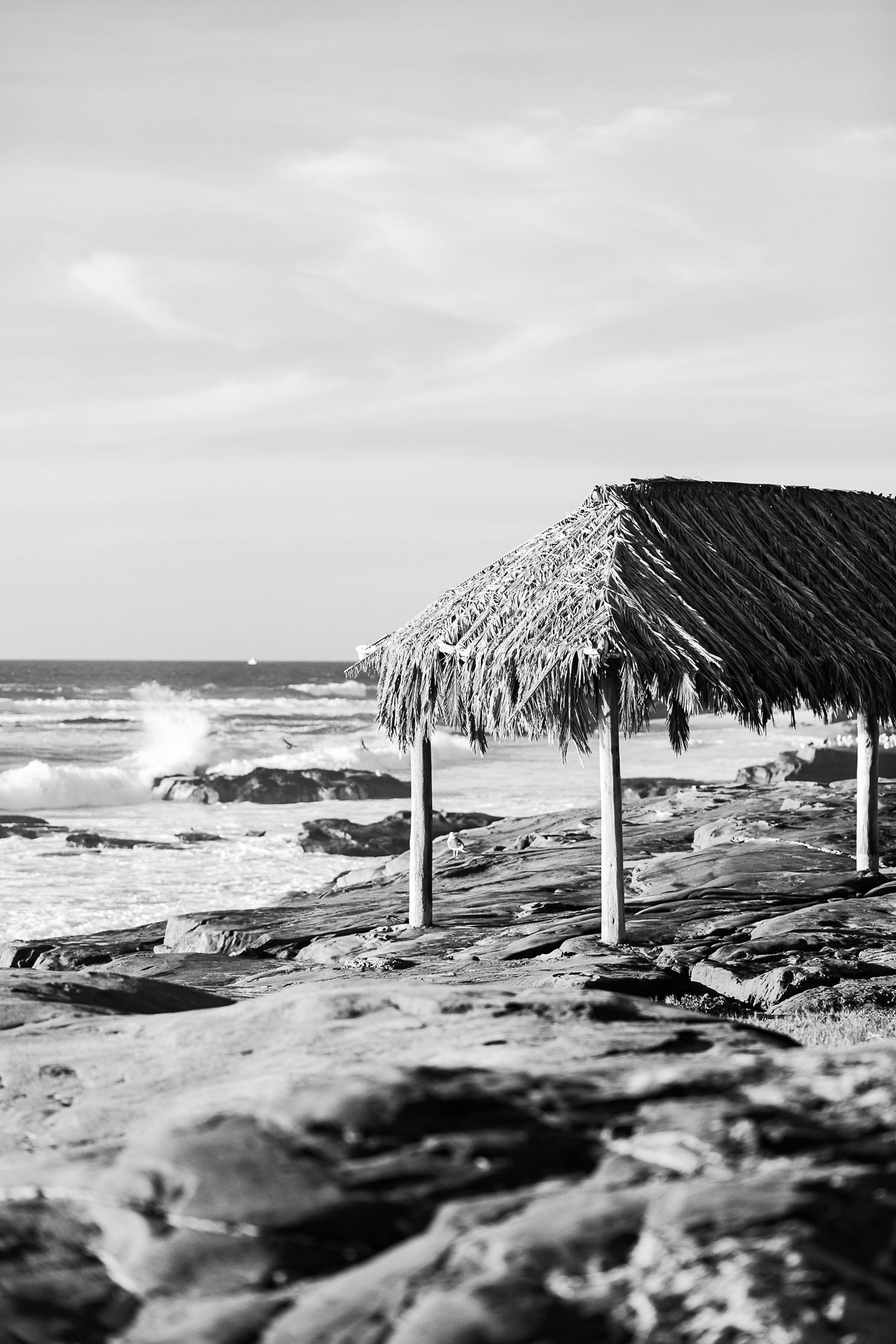 Windansea Hut B&W